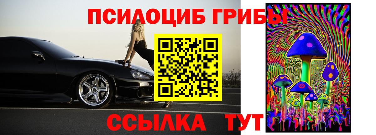 Гусь-Хрустальный  Псилоцибиновые грибы прущие грибы  Псилоцибиновые грибы Cubensis  Вход с VPN 